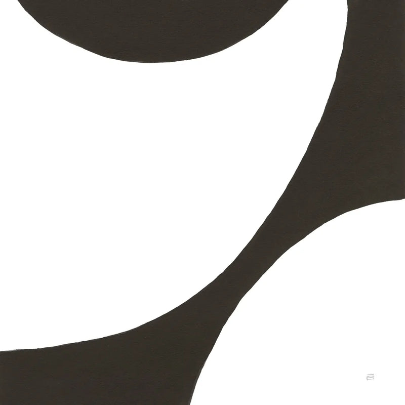 Curvilinear VI by Chris Paschke. SKU 86234a. Archival Giclee Fine art print for wall decor.