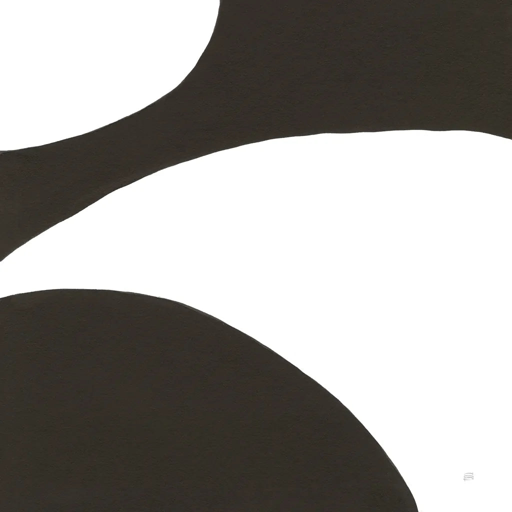 Curvilinear VII by Chris Paschke. SKU 86235a. Archival Giclee Fine art print for wall decor.