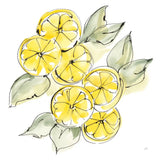 Cut Lemons II by Chris Paschke. SKU 66885a. Archival Giclee Fine art print for wall decor.