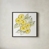 Cut Lemons II by Chris Paschke. Shown in a sleek black glass frame for a contemporary gallery look. Available as an archival giclee rolled canvas, fine art paper, or poster print. SKU 66885a.