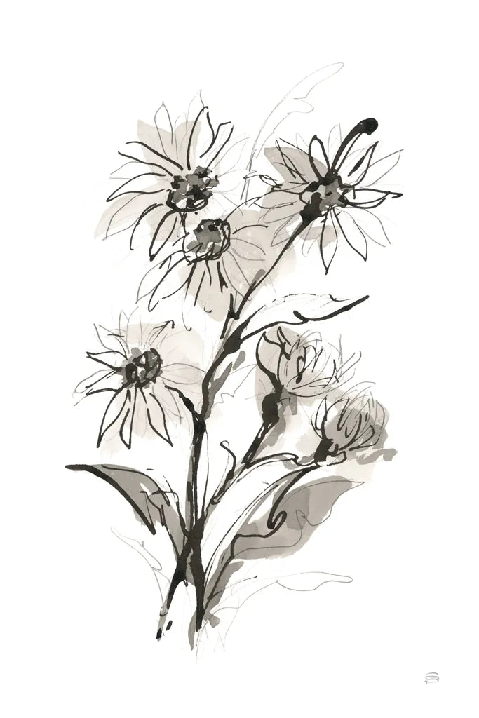 Daisy I by Chris Paschke. SKU 74372h. Archival Giclee Fine art print for wall decor.