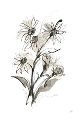 Daisy I by Chris Paschke. SKU 74372h. Archival Giclee Fine art print for wall decor.