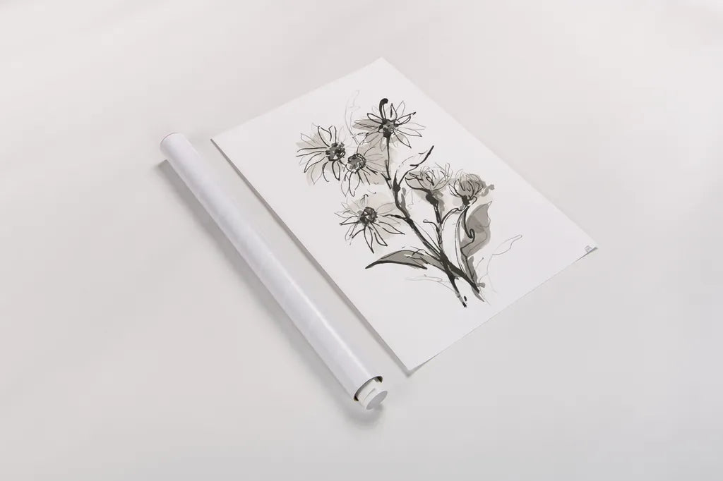 Daisy I by Chris Paschke. shown as a rolled paper print. Available as archival giclee rolled canvas, fine art paper, or poster print. SKU 74372h.