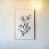Daisy I by Chris Paschke. shown as a paper print in a natural frame. Available as a archival giclee rolled canvas, fine art paper, or poster print. SKU 74372h.