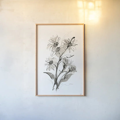 Daisy I by Chris Paschke. shown as a paper print in a natural frame. Available as a archival giclee rolled canvas, fine art paper, or poster print. SKU 74372h.