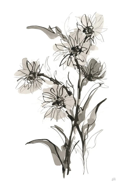 Daisy II by Chris Paschke. SKU 74373h. Archival Giclee Fine art print for wall decor.