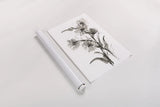 Daisy II by Chris Paschke. shown as a rolled paper print. Available as archival giclee rolled canvas, fine art paper, or poster print. SKU 74373h.