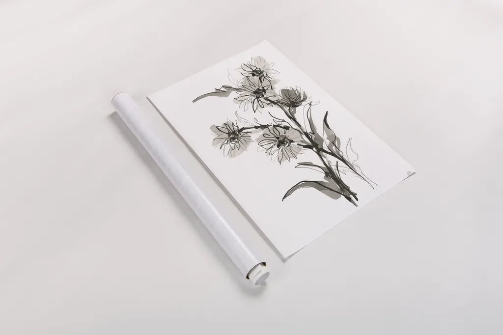 Daisy II by Chris Paschke. shown as a rolled paper print. Available as archival giclee rolled canvas, fine art paper, or poster print. SKU 74373h.