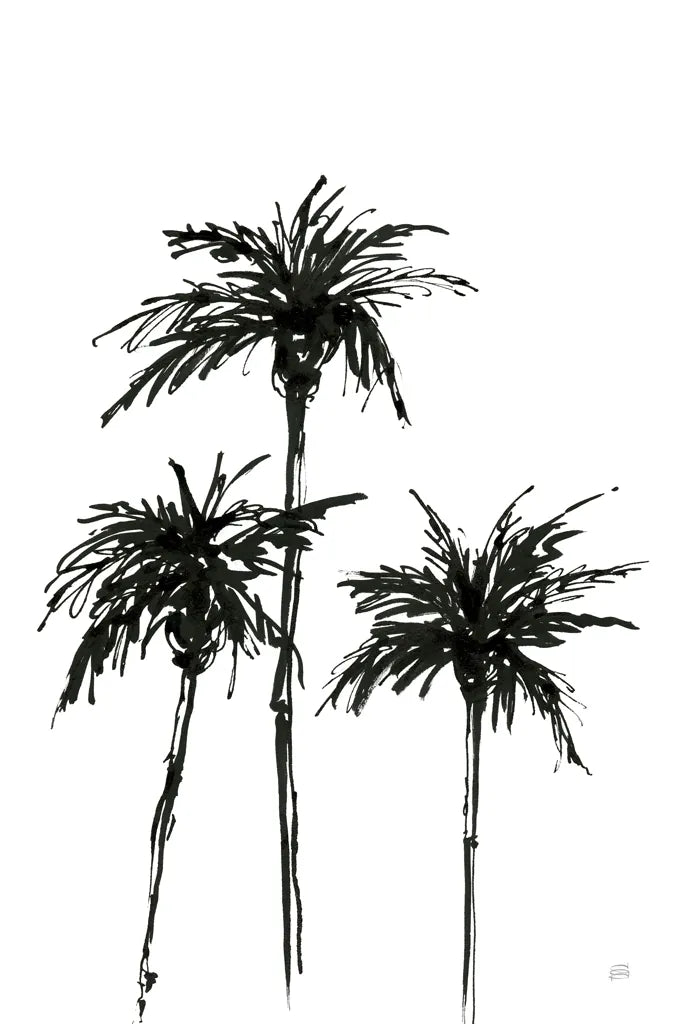 Dark Palms I by Chris Paschke. SKU 78874h. Archival Giclee Fine art print for wall decor.