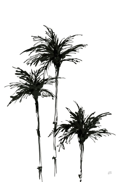 Dark Palms II by Chris Paschke. SKU 78875h. Archival Giclee Fine art print for wall decor.