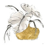 Delicate Gilded Vase II by Chris Paschke. SKU 74093a. Archival Giclee Fine art print for wall decor.