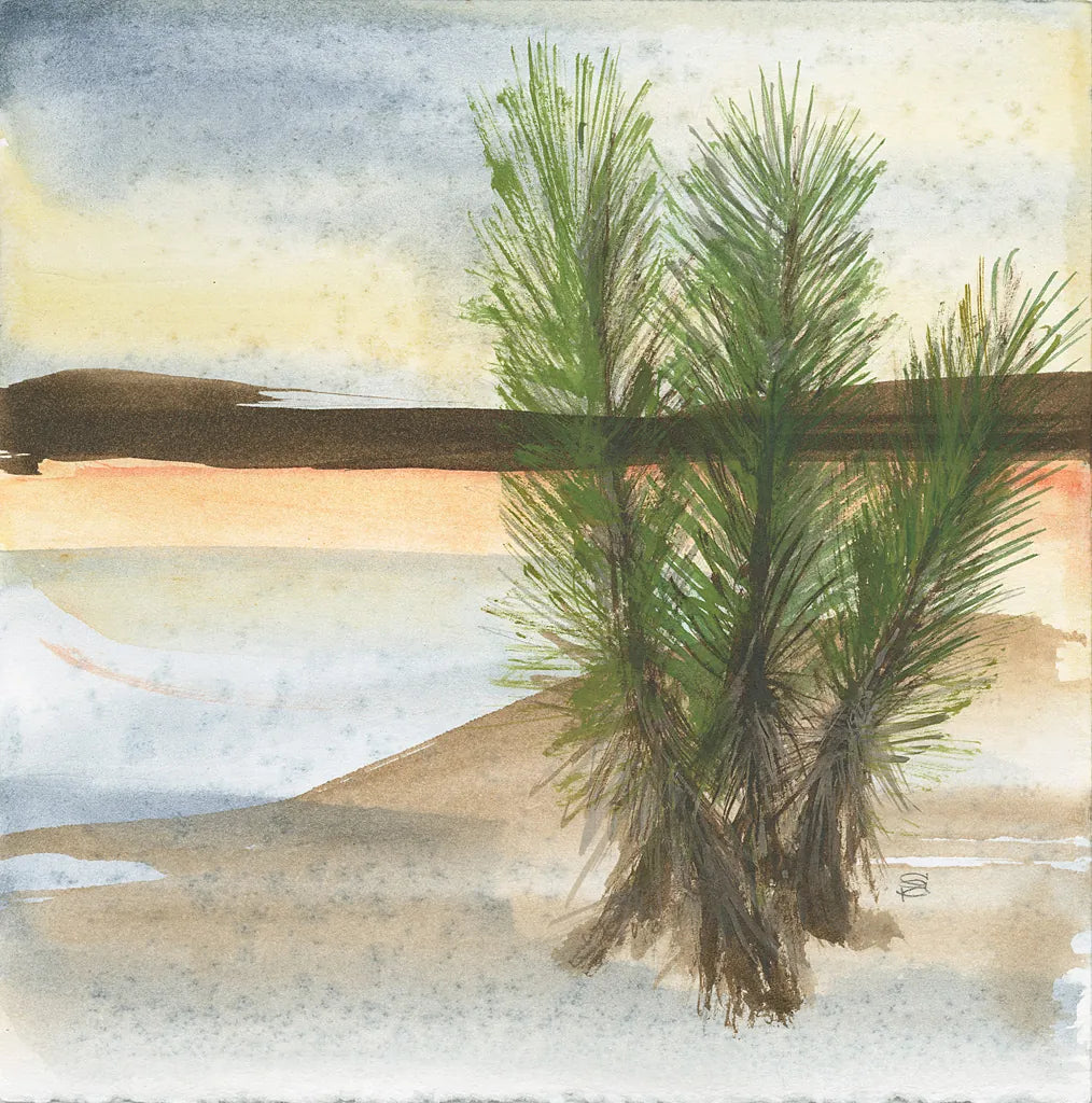 Desert Yucca by Chris Paschke. SKU 23900a. Archival Giclee Fine art print for wall decor.