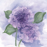 Dimensional Hydrangea I by Chris Paschke. SKU 95438a. Archival Giclee Fine art print for wall decor.