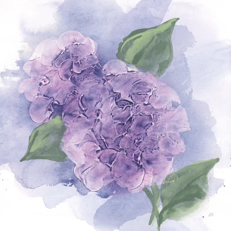 Dimensional Hydrangea II by Chris Paschke. SKU 95439a. Archival Giclee Fine art print for wall decor.