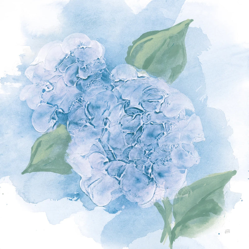 Dimensional Hydrangea II v2 by Chris Paschke