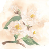 Dimensional Magnolia I by Chris Paschke. SKU 95440a. Archival Giclee Fine art print for wall decor.