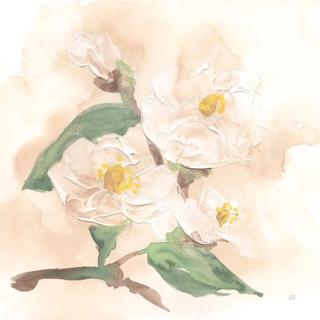 Dimensional Magnolia I by Chris Paschke. SKU 95440a. Archival Giclee Fine art print for wall decor.