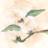 Dimensional Magnolia II by Chris Paschke. SKU 95441a. Archival Giclee Fine art print for wall decor.