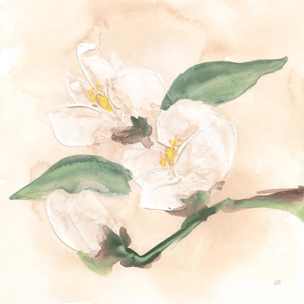 Dimensional Magnolia II by Chris Paschke. SKU 95441a. Archival Giclee Fine art print for wall decor.