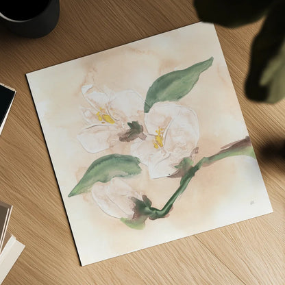 Dimensional Magnolia II by Chris Paschke. Shown as a detailed flat fine art print, highlighting archival giclee quality. Available as an archival giclee rolled canvas, fine art paper, or poster print. SKU 95441a.