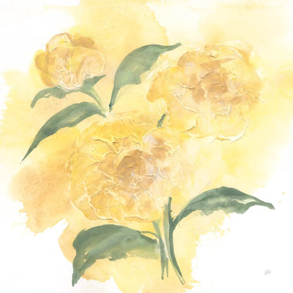 Dimensional Peony I by Chris Paschke. SKU 95434a. Archival Giclee Fine art print for wall decor.