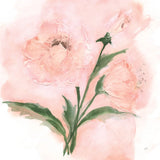 Dimensional Poppy I by Chris Paschke. SKU 95436a. Archival Giclee Fine art print for wall decor.
