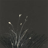 Dusting II by Chris Paschke. SKU 84556a. Archival Giclee Fine art print for wall decor.