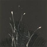 Dusting III by Chris Paschke. SKU 84557a. Archival Giclee Fine art print for wall decor.
