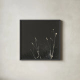 Dusting IV by Chris Paschke. Shown in a sleek black glass frame for a contemporary gallery look. Available as an archival giclee rolled canvas, fine art paper, or poster print. SKU 84558a.