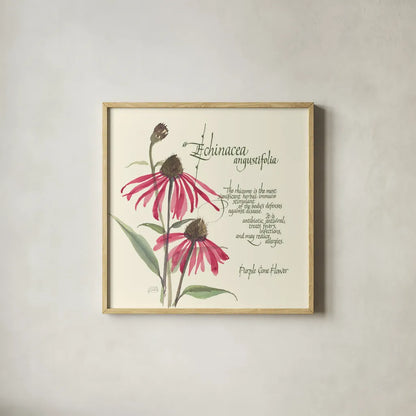 Echinacea by Chris Paschke. Shown in a natural wood glass frame for a timeless modern aesthetic. Available as an archival giclee rolled canvas, fine art paper, or poster print. SKU 1448a.