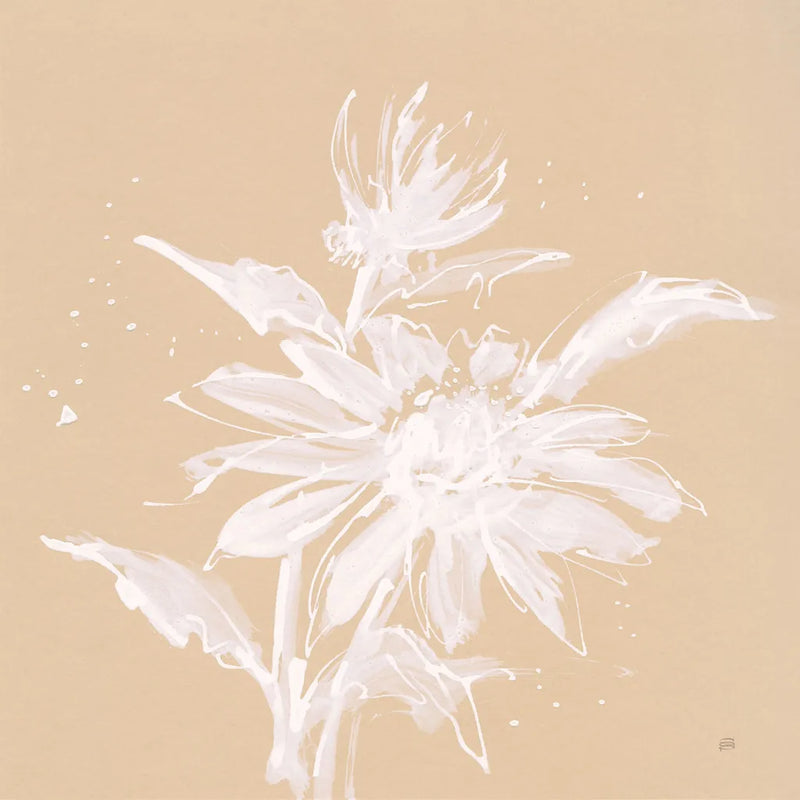 Echinacea II by Chris Paschke. SKU 66769a. Archival Giclee Fine art print for wall decor.