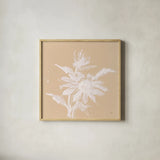 Echinacea II by Chris Paschke. Shown in a natural wood glass frame for a timeless modern aesthetic. Available as an archival giclee rolled canvas, fine art paper, or poster print. SKU 66769a.