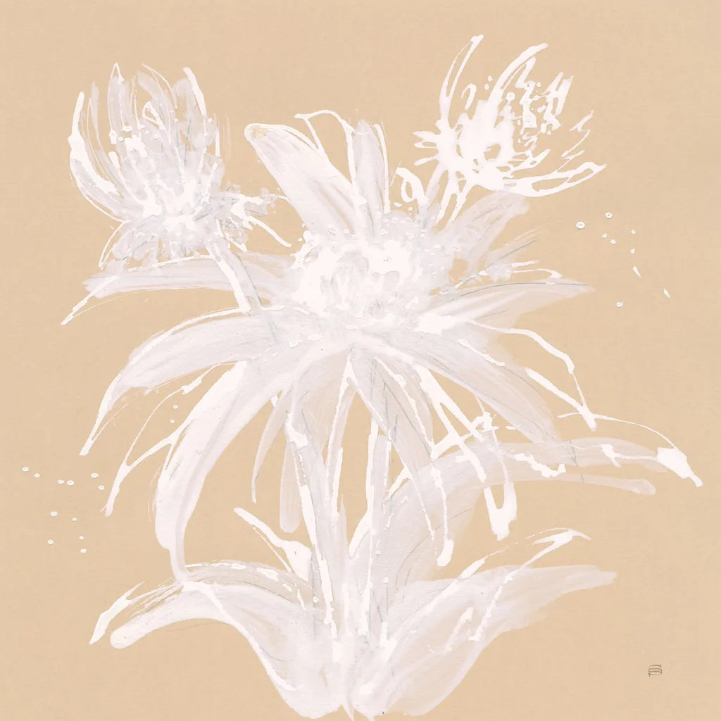 Echinacea III by Chris Paschke. SKU 66770a. Archival Giclee Fine art print for wall decor.