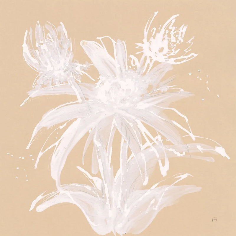 Echinacea III by Chris Paschke. SKU 66770a. Archival Giclee Fine art print for wall decor.