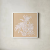 Echinacea IV by Chris Paschke. Shown in a crisp white glass frame for a clean and minimalist style. Available as an archival giclee rolled canvas, fine art paper, or poster print. SKU 66771a.