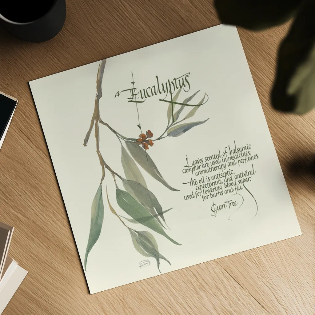 Eucalyptus by Chris Paschke. Shown as a detailed flat fine art print, highlighting archival giclee quality. Available as an archival giclee rolled canvas, fine art paper, or poster print. SKU 1445a.