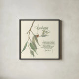 Eucalyptus by Chris Paschke. Shown in a sleek black glass frame for a contemporary gallery look. Available as an archival giclee rolled canvas, fine art paper, or poster print. SKU 1445a.