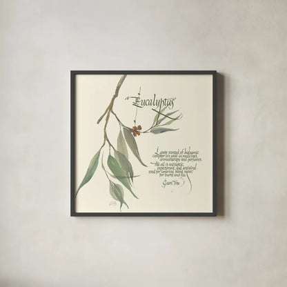 Eucalyptus by Chris Paschke. Shown in a sleek black glass frame for a contemporary gallery look. Available as an archival giclee rolled canvas, fine art paper, or poster print. SKU 1445a.