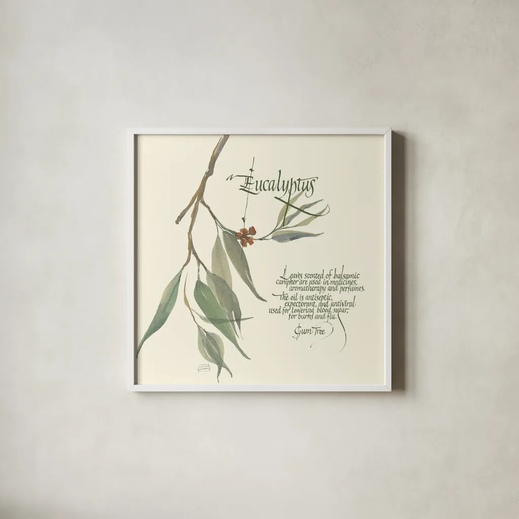 Eucalyptus by Chris Paschke. Shown in a crisp white glass frame for a clean and minimalist style. Available as an archival giclee rolled canvas, fine art paper, or poster print. SKU 1445a.