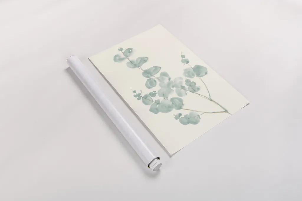 Eucalyptus Branch I by Chris Paschke. shown as a rolled paper print. Available as archival giclee rolled canvas, fine art paper, or poster print. SKU 55063h.