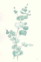 Eucalyptus Branch II by Chris Paschke. SKU 55064h. Archival Giclee Fine art print for wall decor.