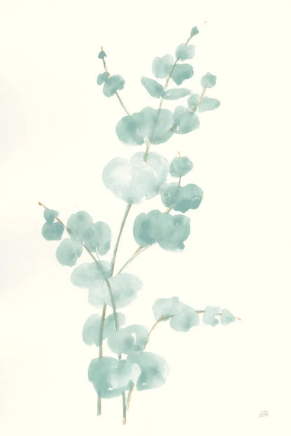 Eucalyptus Branch II by Chris Paschke. SKU 55064h. Archival Giclee Fine art print for wall decor.