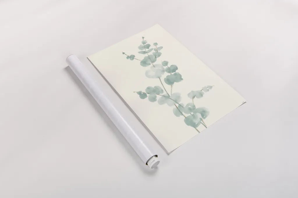 Eucalyptus Branch II by Chris Paschke. shown as a rolled paper print. Available as archival giclee rolled canvas, fine art paper, or poster print. SKU 55064h.