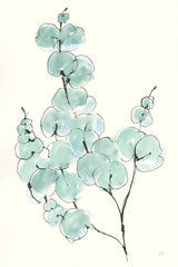 Eucalyptus Branch III by Chris Paschke. SKU 55065h. Archival Giclee Fine art print for wall decor.