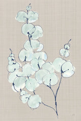 Eucalyptus Branch III Blue Gray by Chris Paschke. SKU 56419h. Archival Giclee Fine art print for wall decor.