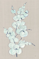 Eucalyptus Branch IV Blue Gray by Chris Paschke. SKU 56420h. Archival Giclee Fine art print for wall decor.