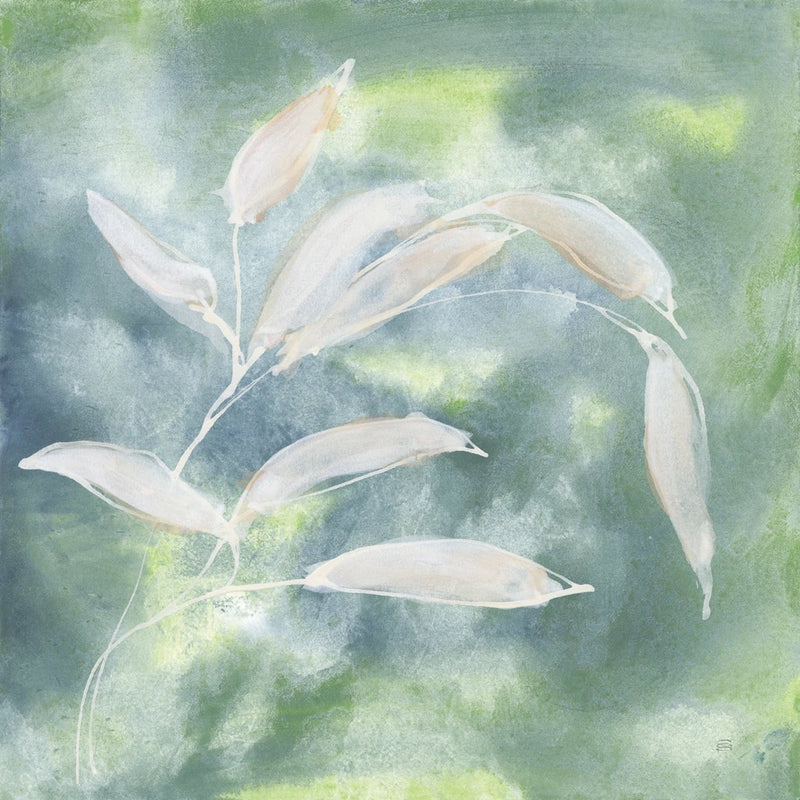 Eucalyptus Leaves I by Chris Paschke