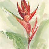 Exotic Flower IV by Chris Paschke. SKU 48033a. Archival Giclee Fine art print for wall decor.