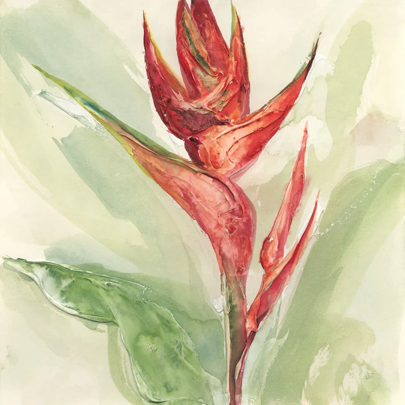Exotic Flower IV by Chris Paschke. SKU 48033a. Archival Giclee Fine art print for wall decor.