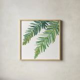 Ferns I Square by Chris Paschke. Shown in a natural wood glass frame for a timeless modern aesthetic. Available as an archival giclee rolled canvas, fine art paper, or poster print. SKU 24943a.